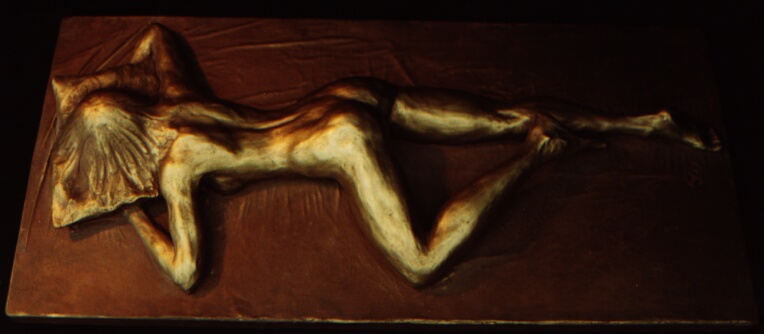 Ptin
      bronze